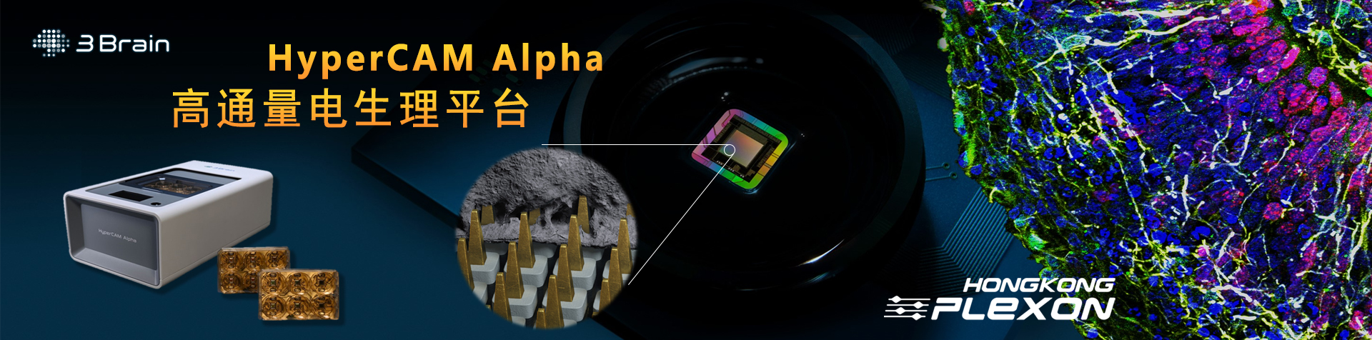 banner 3brain