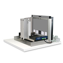 4-Choice Gambling Task (4C-GT) for Mice