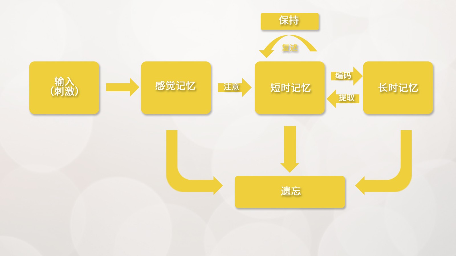 脑电在学习记忆方面的研究