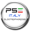 P.S. ELETTRONICA SRL