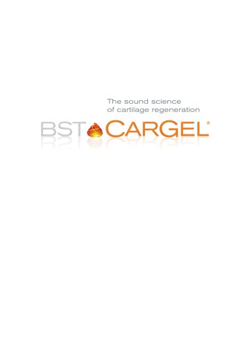 BST-CarGel &reg;