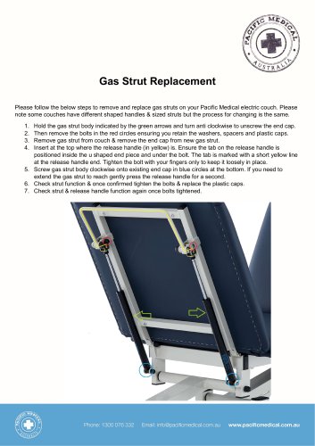 Gas Strut Replacement