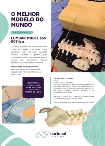 Lumbar Model Ess