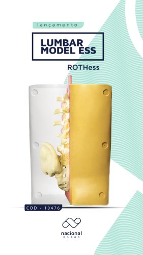 Lumbar Model ESS