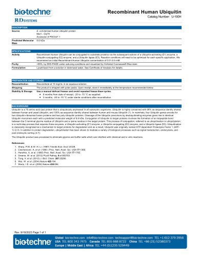 Recombinant Human Ubiquitin